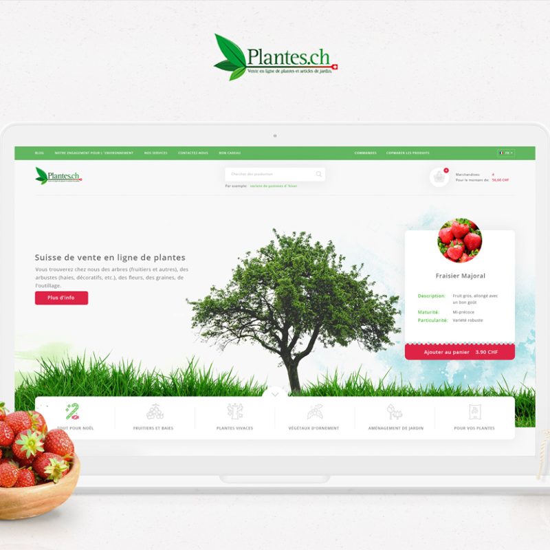 Plantes Website